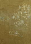 13211 - Tsuru No Mai 12973 crop  